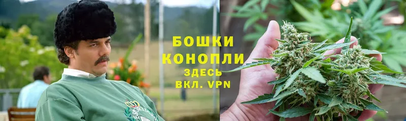 Шишки марихуана SATIVA & INDICA  купить наркоту  Берёзовский 